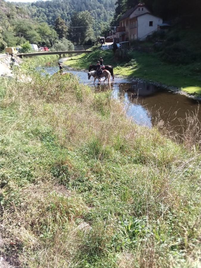 Rekreacni Chata Kocaba Stechowitz Exterior foto